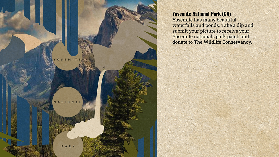 Screenshot 2021-02-06 at 7.14.23 pm