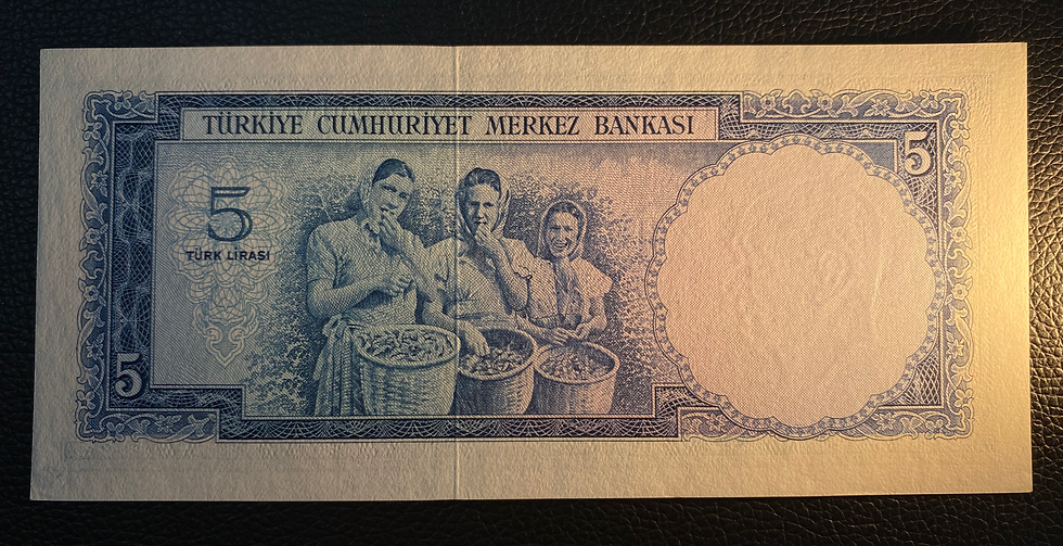 Küçük resim: 5. Emisyon  3. Tertip 5 Lira Çil  F01