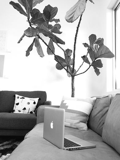 Sofa and plant