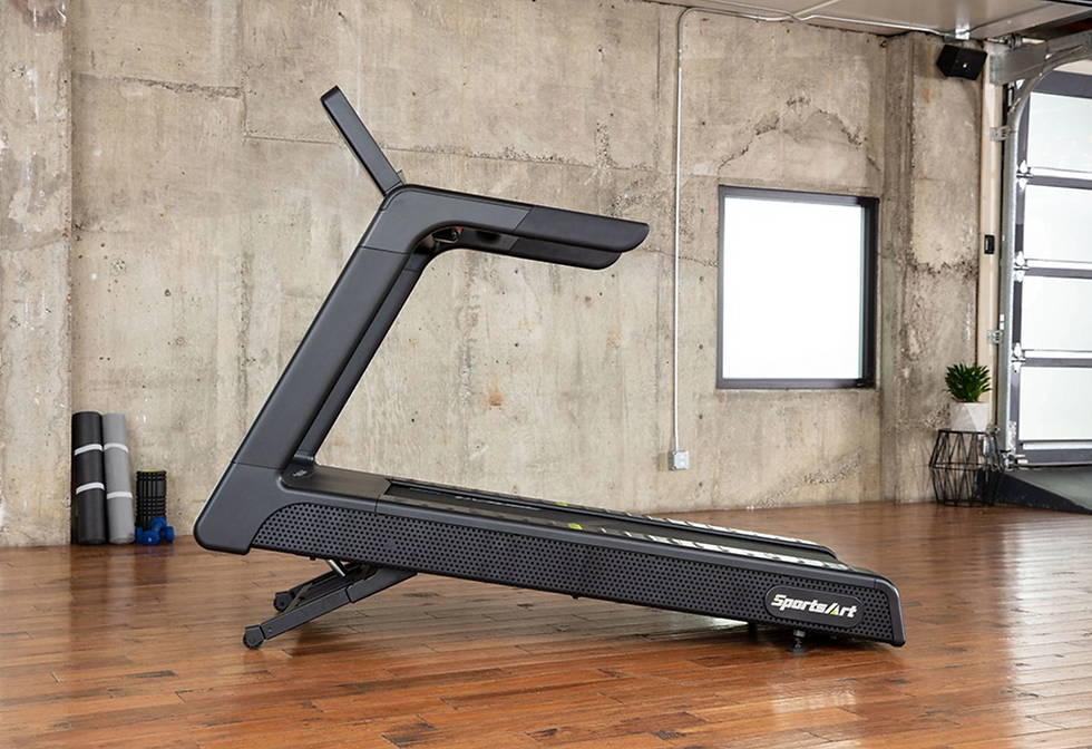 Thumbnail: SportsArt T673 Treadmill