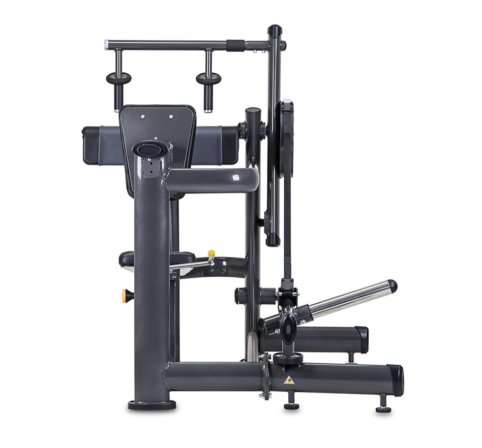 Thumbnail: SportsArt A980 Arm Extension