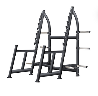 Sportsart Squat Rack