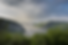 Screenshot 2025-05-01 at 9.01.16 AM.png