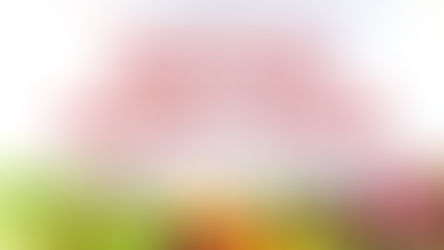 Beyond Basic Care: Crafting Exceptional Home Environments!