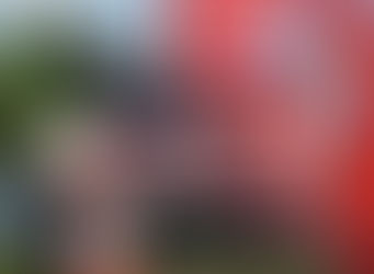 Unveiling the Livewire Archive: A Landmark in Forensic History and Whistleblower Advocacy