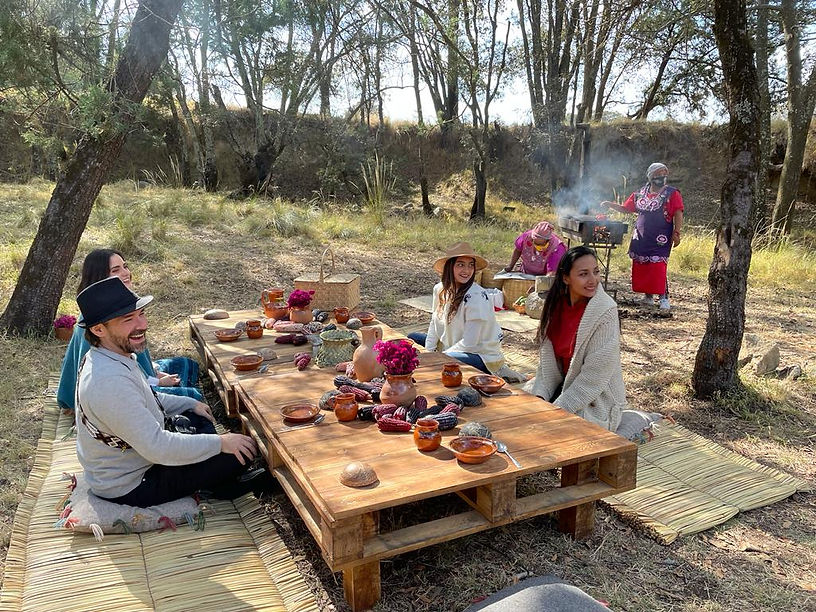 Turistas pic nic.jpeg