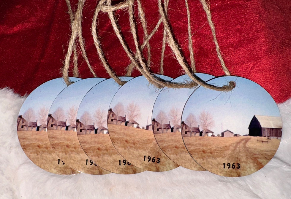 Thumbnail: Picture Ornament