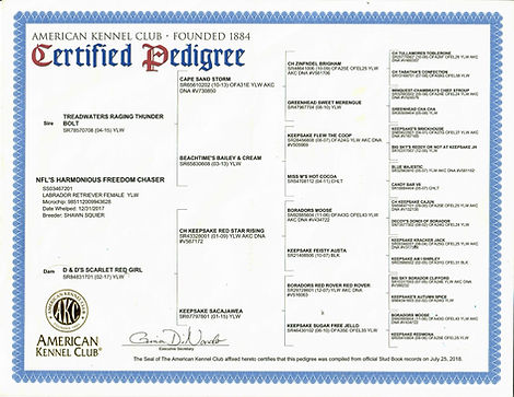 Harmony Pedigree.jpg