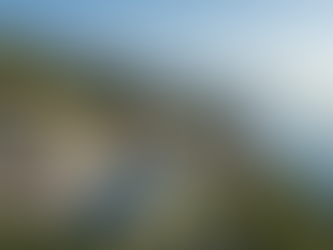 Why Batumi Rental Investment Villas Are Smart Investments