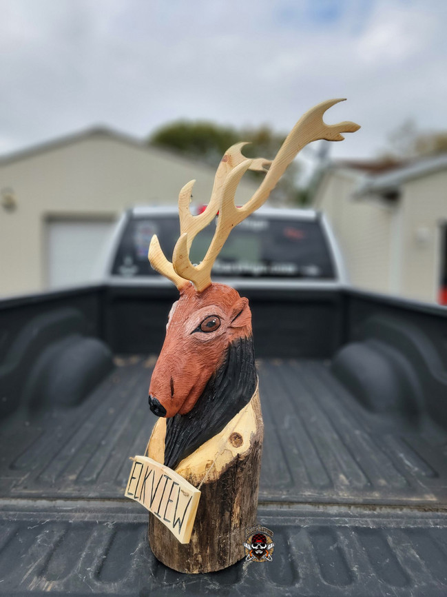 Elk (1).jpeg