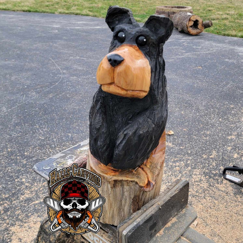 Bear.jpeg