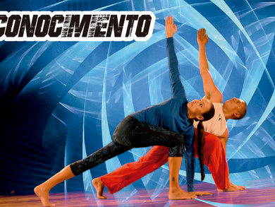 N.º 13 Agosto de 2017