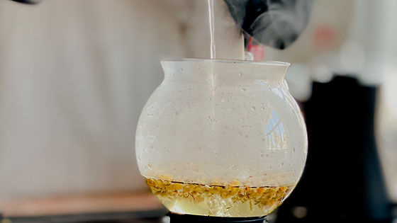 Chamomile Blossom