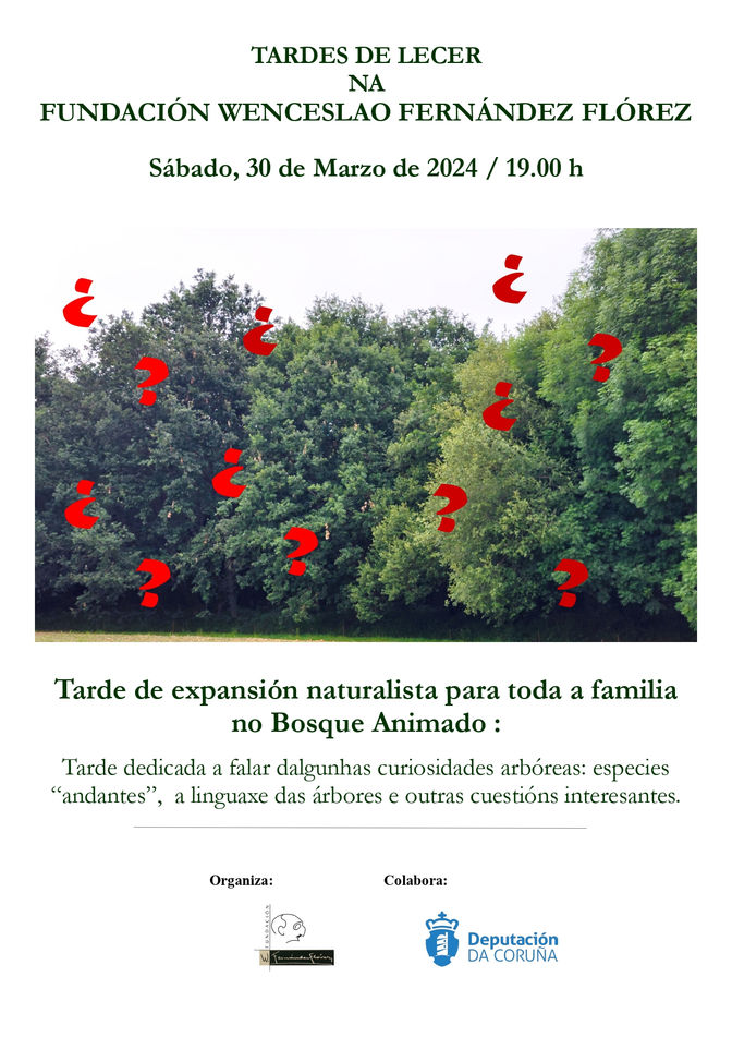Curiosidades arbóreas...