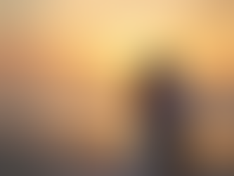 Weddings in Florida 2026: A Comprehensive Guide to Photography and Videography Costs
