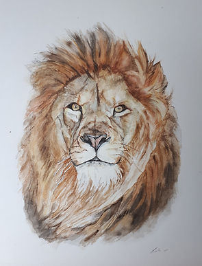 Leeuw 3.jpg