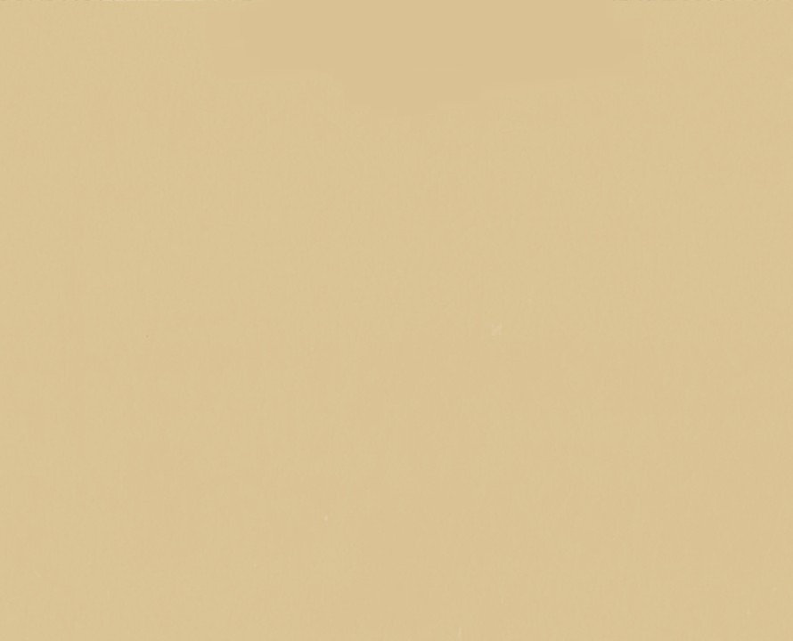 CUERO VEGANO PIEL BEIGE