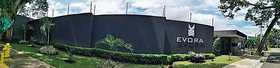 Cerco eléctrico para seguridad