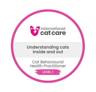 International cat care