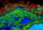 Topografía LIDAR