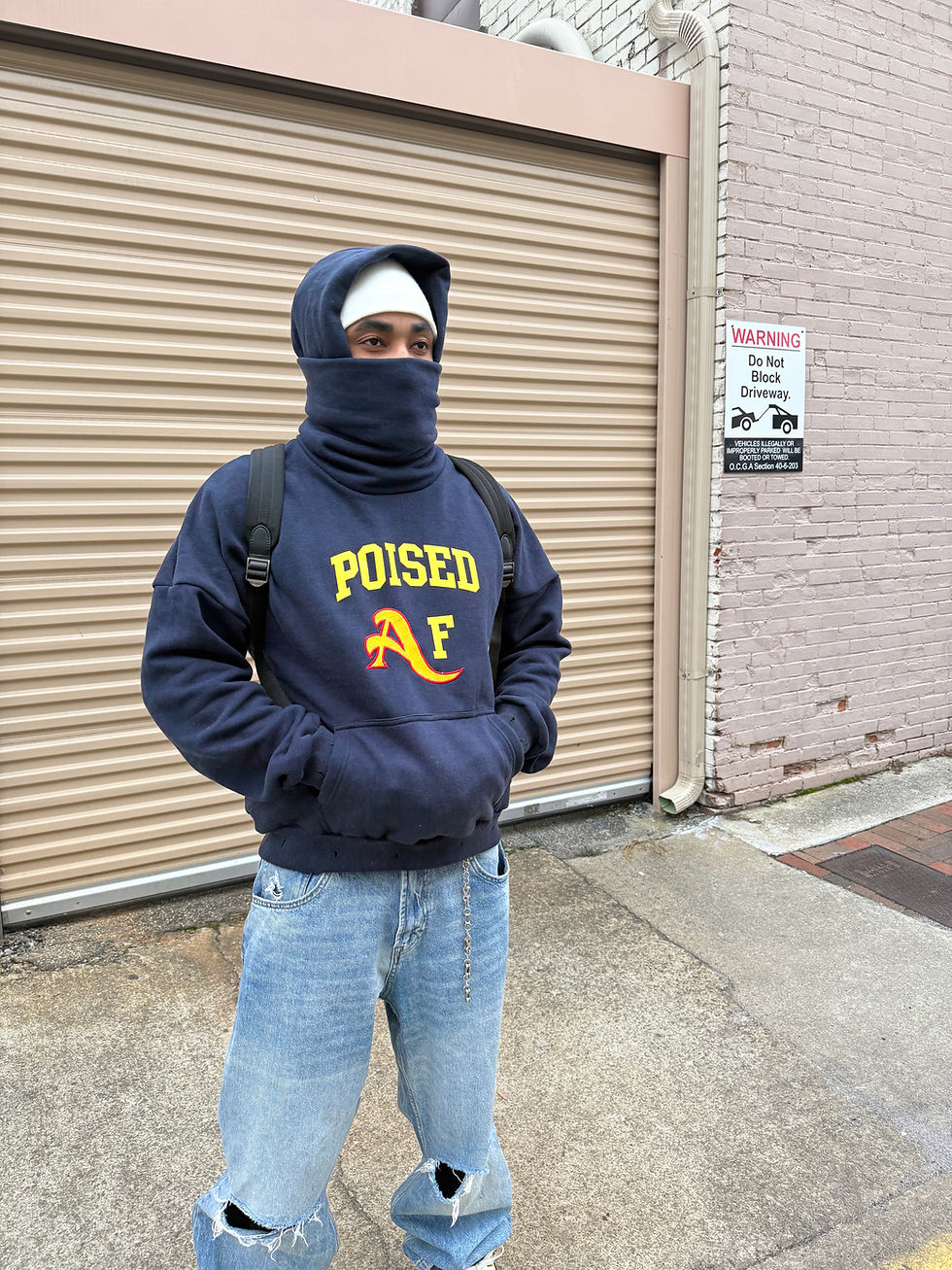 Thumbnail: Masked Hoodie "ANN ARBOR"