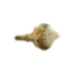 antique South east Asian ring, made of gold with a pyramid shaped bone.