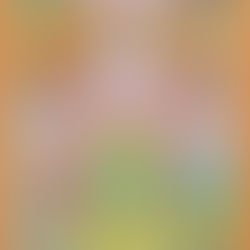 台湾最南端・恆春で開催「2026南國國際生活節」Summer Eye、YONLAPA出演／台灣最南端恆春舉辦「2026南國國際生活節」Summer Eye、YONLAPA出演