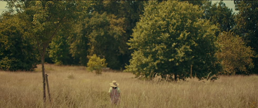 Capture d’écran 2023-09-24 à 22.06.00.png