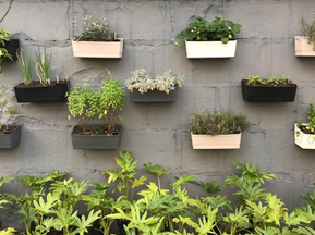 Jardim Vertical: Cultive Ervas e Temperos em Casa com Sustentabilidade e Praticidade