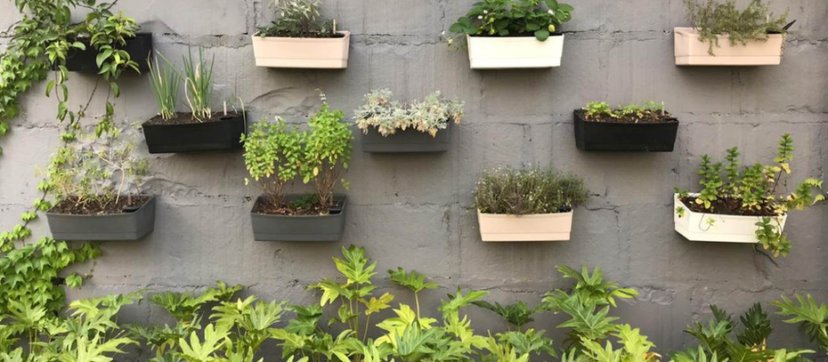 Jardim Vertical: Cultive Ervas e Temperos em Casa com Sustentabilidade e Praticidade