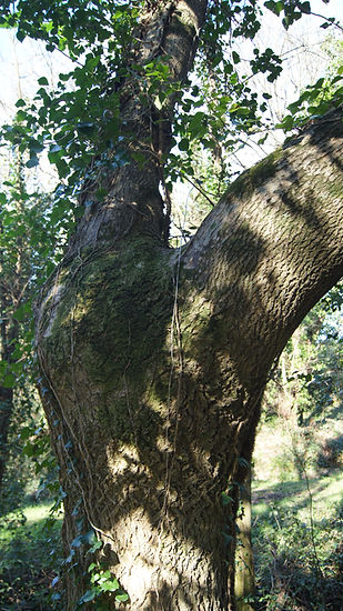 DSC00840.JPG