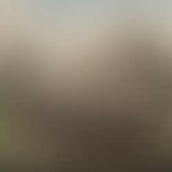 Steampunk Short Story: The Little Things, part 1