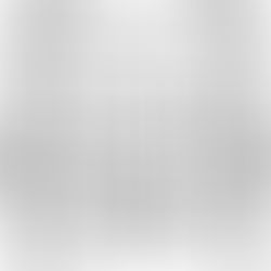 Steampunk Christmas Story. Anwin wants wings for Christmas, part 2