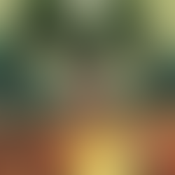 The Casket Girls are Coming! Cover Reveal!