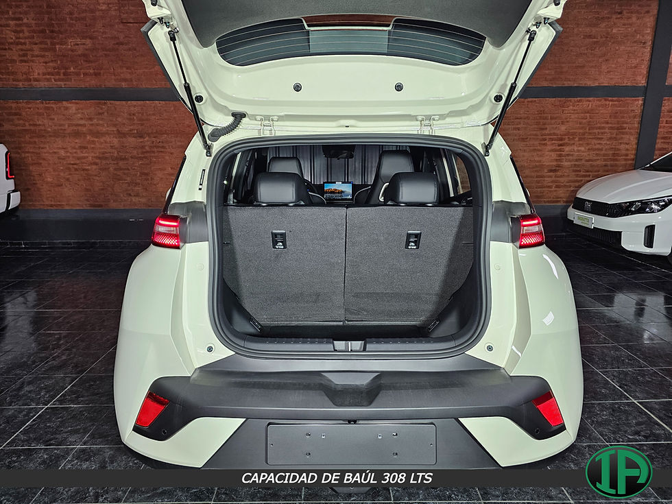Miniatura: BYD Dolphin Mini GS