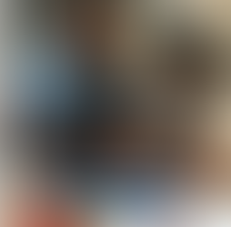 O Papel dos Professores Montessori: Guias na Jornada de Aprendizagem