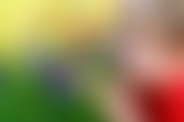 A Concentração no Método Montessori: Como Cultivar o Foco Natural da Criança