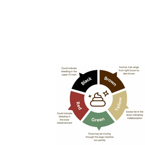 What your poop says about your health