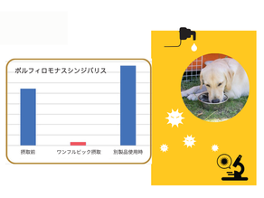歯周病ケアにワンフルビック