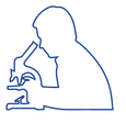 研究 柔らかく 青.png