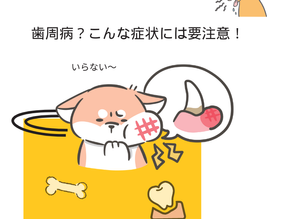 歯周病？こんな症状には要注意！