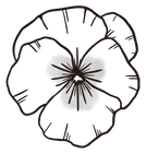 041-05_B.png