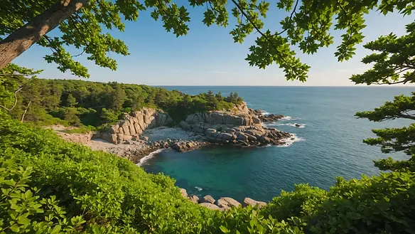 Wide angle view of the rocky coastline at Halibut Point Recreation Area, framed by lush greenery.