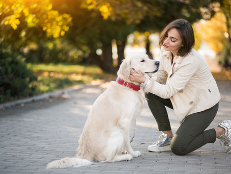 best enrichment activities for dogs