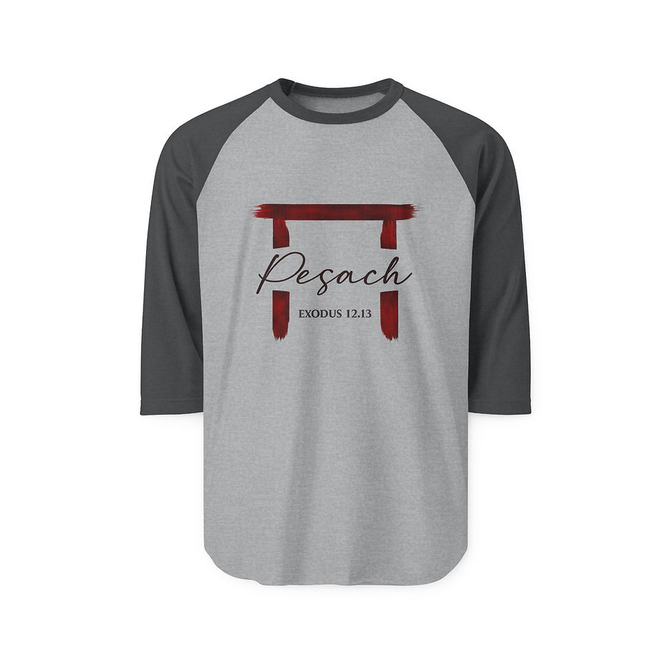 Thumbnail: Pesach Graphic Raglan Shirt | Exodus 12:13