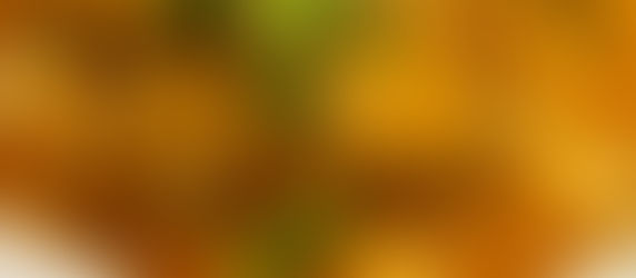 KAMAL KAKADI (LOTUS STEM/ NADRU) KOFTE