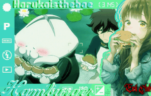 Harukaisthebae 8.1.gif