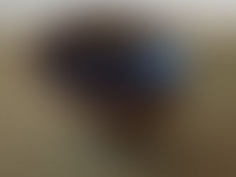 宋代筆記 vol.98 泉屋博古館:黃天目茶碗,銘「鷰」、中興名物 - Sen Oku Hakoku Kan, Yellow Tenmoku named Yan.