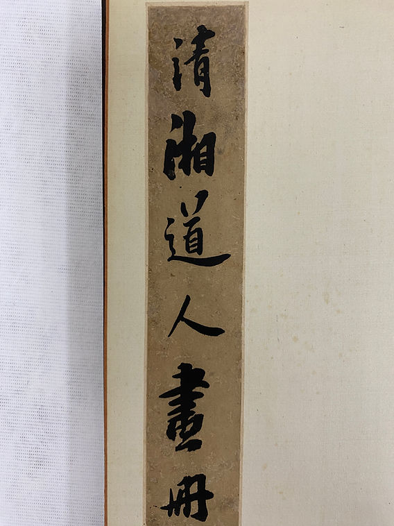 石濤 花卉冊頁 石濤花卉詩冊| Shitao, Flowers and Poems | Power & Culture