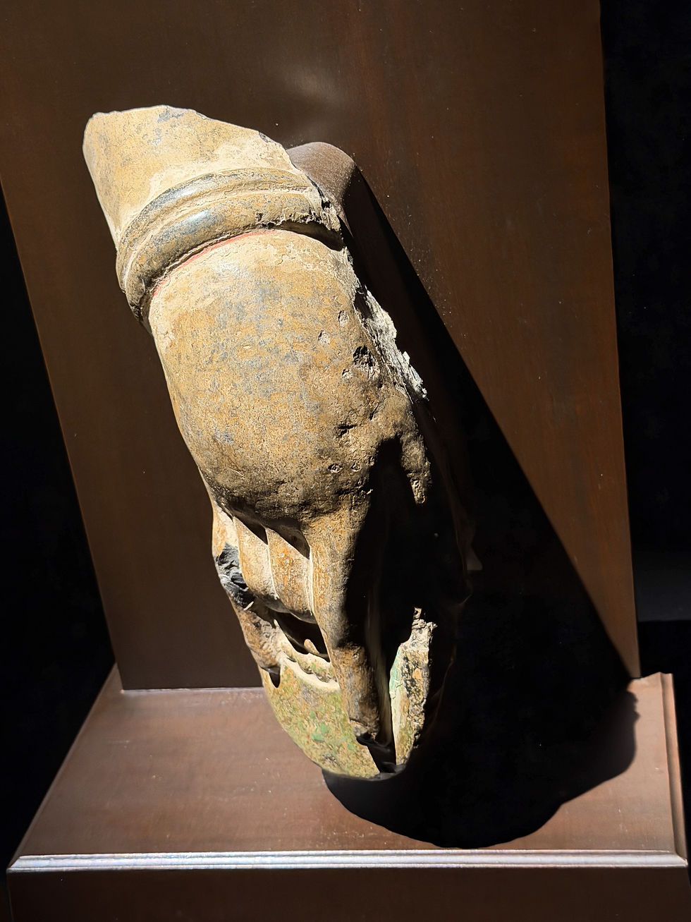 A weathered stone sculpture of a hand is mounted on a dark brown display stand, illuminated by soft light, creating a historic ambiance.